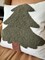 Forest Green Tufted Christmas Tree Pillow Cover by Busa Designs – 18” White Canvas Holiday Accent